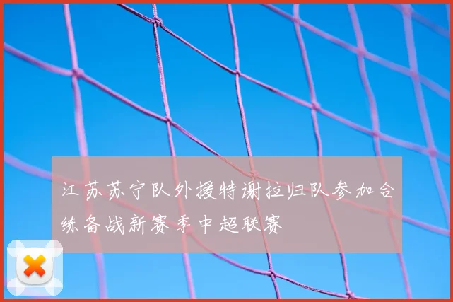 江苏苏宁队外援特谢拉归队参加合练备战新赛季中超联赛